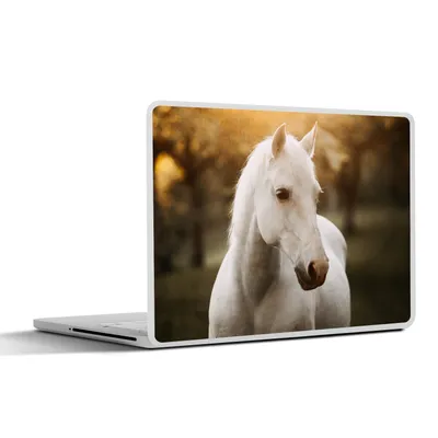 Produktbild von MuchoWow® Laptop Aufkleber Sticker Cover Pferd - Sonne - Herbst - Tiere - Natur 40x30 cm - Laptop Dekoration - Selbstklebend