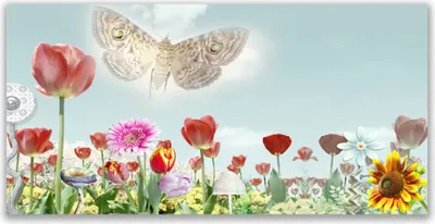 Produktbild von Acrylglasbilder 120x60 Wandbild Druck Blumen Natur