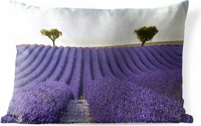 Produktbild von MuchoWow® Outdoor Kissen - Lavendel - Bäume - Blumen - Natur - 50x30 cm - Wetterfest - Lounge Kissen - Sofa kissen - Wohnzimmer Dekoration