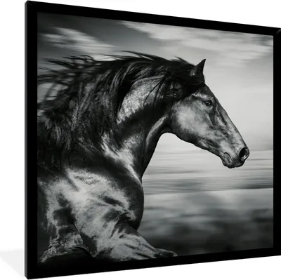 Produktbild von MuchoWow® Gerahmtes Poster Pferd - Tiere - Schwarz - Weiß 40x40 cm - Poster mit Schwarzem Bilderrahmen Wandposter Rahmen Foto Bilder - Mit Rahmen - Wanddekoration Schlafzimmer