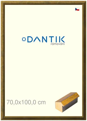 Obrázek produktu pro DANTIK rámeček 70x100 | Forgia Gold (Plexi Čiré)