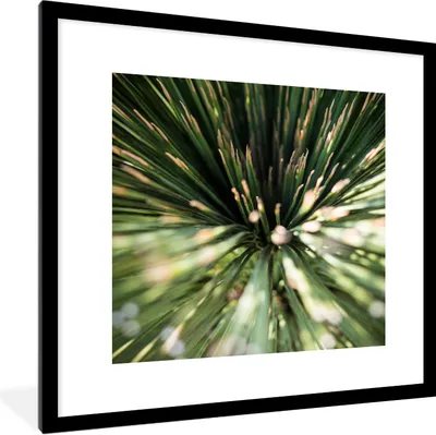 Produktbild von MuchoWow® Gerahmtes Poster Kaktus - Abstrakt - Pflanze 40x40 cm - Poster mit Schwarzem Bilderrahmen Wandposter Rahmen Foto Bilder - Poster - Plakat im Rahmen