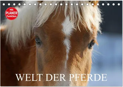 Produktbild von Welt der Pferde (Tischkalender 2025 DIN A5 quer), CALVENDO Monatskalender
