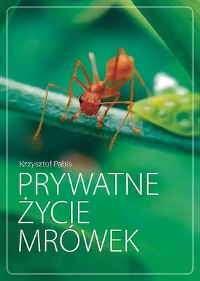 Produktbild von Prywatne życie mrówek
