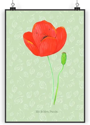 Produktbild von Mr. & Mrs. Panda Bild Blume Mohnblume DIN A4 - Blattgrün - Geschenk, wandkunst, wanddeko, drucke, Garten, Religion, Respekt, Kunstdruck, Motivation, poster, Selbstliebe