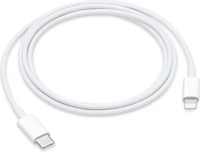 Image de Câble SGS USB-C vers Lightning 1 mètre argenté