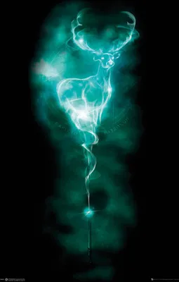 Obrázek produktu pro Empireposter 767349, 1 kusů, Filmy a televize, Harry Potter, Patronus Stag, Obdélník, Chlapec/děvče