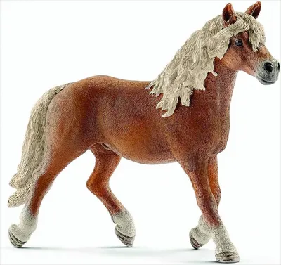 Produktbild von schleich 13813 Haflinger Hengst