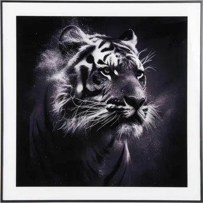Produktbild von Present Time - Wanddekoration Tiger - Schwarz - 2x50x50cm