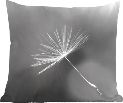 Produktbild von MuchoWow® Zierkissen Sofakissen Wohnzimmer Dekokissen 45x45 cm Löwenzahnsamen in Schwarz und Weiß - Schlafpolster - Polster für das Sofa