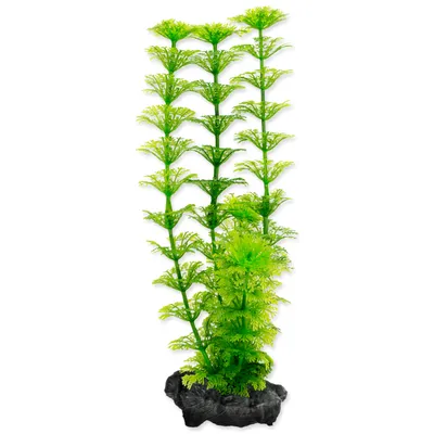 Produktbild von Deko Tetra Pflanze Ambulia S 15cm