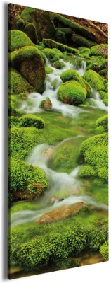 Produktbild von Wallario Premium Leinwandbild Moosiger Bach in Größe 50 x 125 cm
