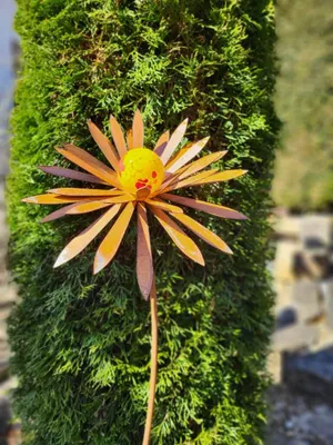 Produktbild von Edelrost Blume Ilonka, spitze Blätter