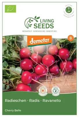 Produktbild von Radieschen Cherry Belle 8.6g Saatgut von Living Seeds