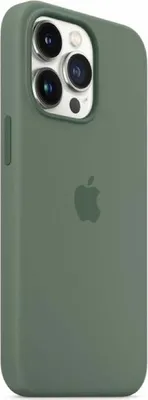 Produktbild von Apple iPhone 13 Pro Max Silikon Case mit MagSafe - Eukalyptus, Cover, Apple, iPhone 13 Pro Max, 17 cm (6.7"), Grün