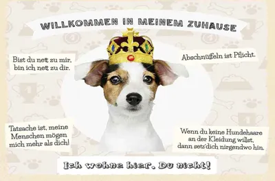 Produktbild von vianmo Holzschild 20x30 cm Tiere Hund willkommen wohne hier