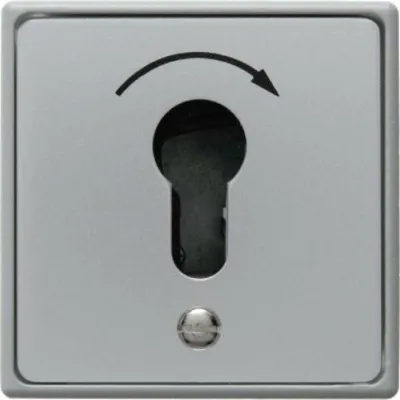 Produktbild von Berker 4450, Schlüsselschalter, Metall, Kunststoff, Grau, IP44, 250 V, 75 mm