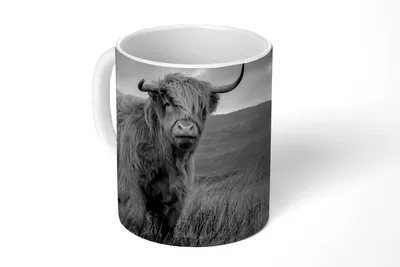 Produktbild von KitchenYeah® Tasse Kaffeetasse Kaffeebecher 350 ml Schottisches Hochlandrind - Berg - Wasser - Natur - Kuh Teetasse - Fototasse - Becher - Keramikbecher - Teebecher - Kaffeetasse - Bürotasse