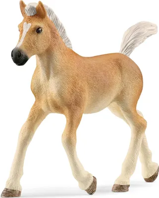 Produktbild von Schleich Horse Club - Haflingerfohlen, Figur für Kinder ab 3