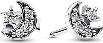 Produktbild von Damenohrringe Pandora 292990C01