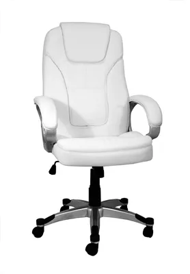 Obrázek produktu pro Ergonomická kancelářská židle s područkami