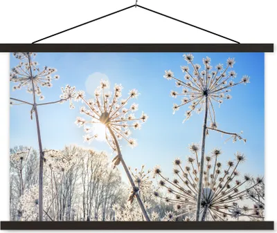 Produktbild von MuchoWow® Textilposter Pflanzen - Schnee - Stilleben 60x40 cm mit schwarzem Rahmen - Hölzernes