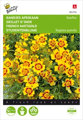Artikelbild 2 von 'Studentenblume Starfire' aus der Kategorie Studentenblumensamen