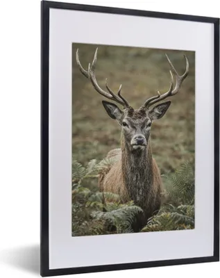 Produktbild von MuchoWow® MuchoWow® Gerahmtes Poster Hirsche - Geweihe - Blätter 30x40 cm - Poster mit zchwarzem Bilderrahmen - Wandposter Schlafzimmer