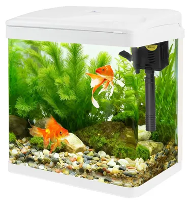 Glas-Aquarium 8L mit Filter, Licht und Pumpe, für Fische, Weiß