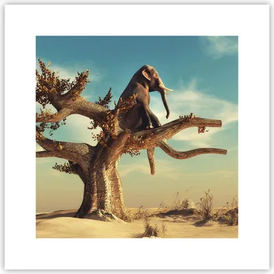 Produktbild von Poster - Poster ohne Rahmen - Sitzen Elefant Baum - 30x30 cm - Wand Bild - Wanddeko - Wandbilder - Kunstposter - Wandposter - Bilder - Kunstdruck - Wanddekoration - Wandbild - P2XAC30x30-4345