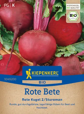 Artikelbild 2 von 'BIO Rote Bete Rote Kugel 2/Sturoman' aus der Kategorie Rote Beetesamen