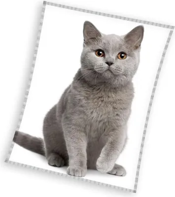 Produktbild von Katze decke Blanket 150 x 200 CM