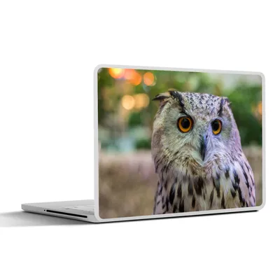 Produktbild von MuchoWow® Laptop Aufkleber Sticker Cover Braune Eule auf einem Baumstumpf sitzend 36.5x27.5 cm - Laptop-Sticker