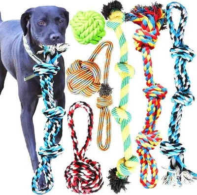 Image de Les plus grands jouets pour chiens - Lot de 6 jouets en corde pour chiens de grande taille