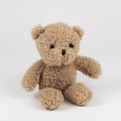 Produktbild von Egmont Toys Stofftierbär Morris 19 cm