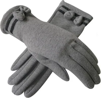 Obrázek produktu pro Dámské rukavice TE-6845 - Šedá KP6845