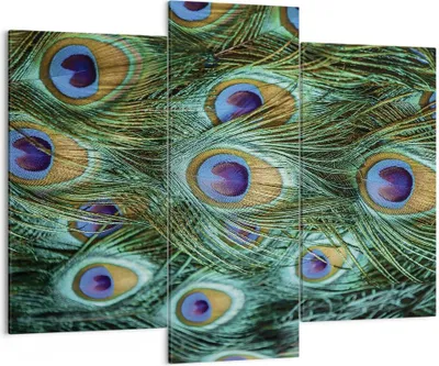 Produktbild von Bild auf Leinwand - Leinwandbild - 3 Teile - Pfauen Feder Makro - 130x100cm - Wand Bild - Wanddeko - Wandbilder - Leinwanddruck - Bilder - Wanddekoration - Leinwand bilder - Wandbild - CB130x100-4159
