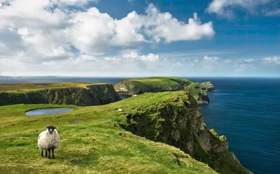 Image de Sanders & Sanders papier peint panoramique paysage irlandais vert et bleu 450 x 280 cm