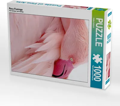 Produktbild von Calvendo Rosa Flamingo 1000 Teile Puzzle quer 640x480mm, Hultsch Heike; 7291489