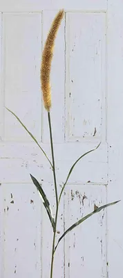 Produktbild von artplants.de Kunst Lampenputzergras LEBRERO mit Rispen, gelb, 175cm - Künstliches Lampenputzergras