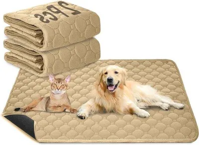 Immagine prodotto di Tappetino per l'addestramento di animali domestici Famanu – impermeabile, lavabile, marrone – 70 x 50 cm