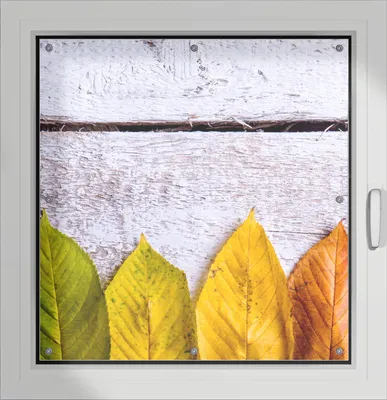 Produktbild von Wallario Lichtschutzbild, Dekorativer Sichtschutz Sonnenschutz 96 x 100 cm mit Motiv: Bunte Herbstblätter auf hellem Holz - Verdunklung ohne Bohren
