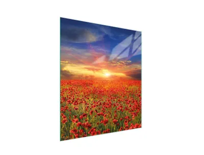 Image de Plateau De Coupe De Verre 45X52 Maki