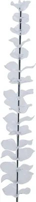Productafbeelding van EUROPALMS Kristalleukalyptus, kunstplant, transparant, 81 cm, 12 stuks (82600201)