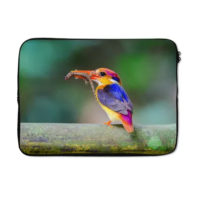Produktbild von MuchoWow® Laptop Hülle 13 Zoll Eisvogel - Eidechse - Äste Laptoptasche - Laptophülle - Sleeve - Rundumschutz