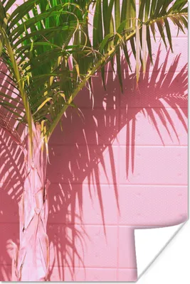 Produktbild von MuchoWow® Poster Pflanze - Sommer - Tropisch - Rosa 40x60 cm - Plakate für die Wand - Poster Babyzimmer