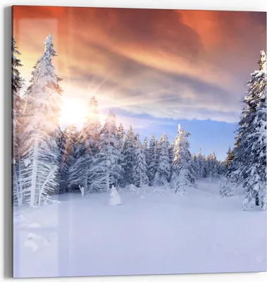Produktbild von DEQORI Glasbild Echtglas 30x30 cm 'Sonne über weißen Tannen' Wandbild Bild modern Deko