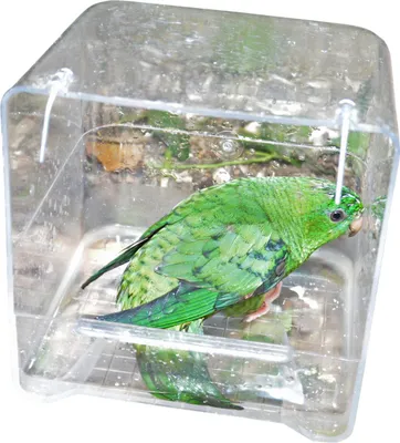 Produktbild von Duvo+ Kunststoffbadewanne transparent
