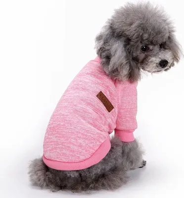 Produktbild von Sweatshirt für Hund - Pink S