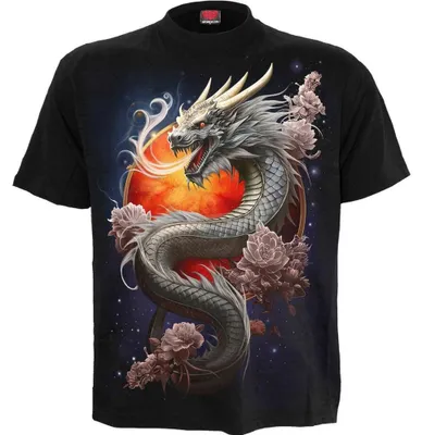 Produktbild von Spiral Direct - T-Shirt für Herren/Damen Uni RO16280 (L) (Schwarz)